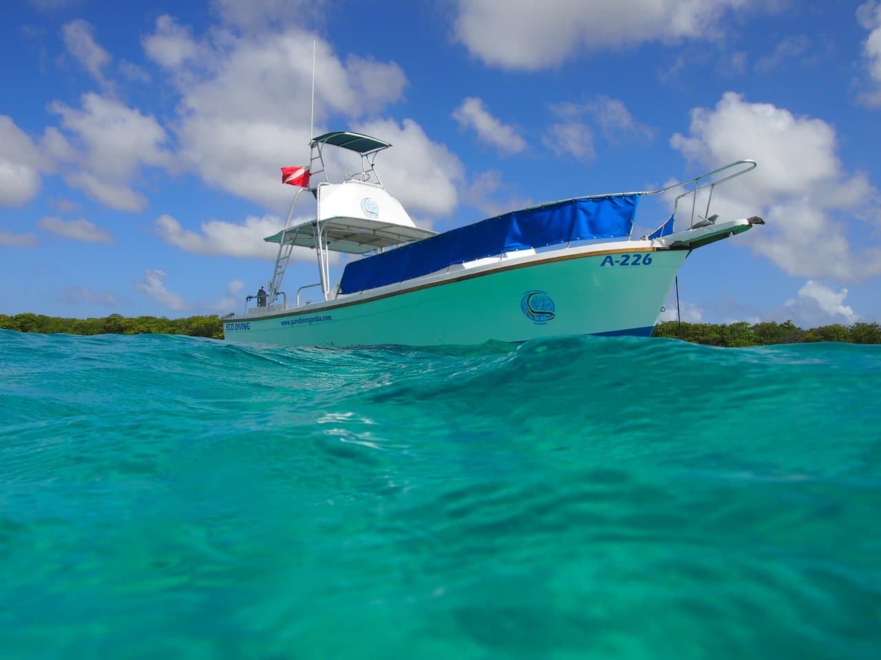 Our Drumfish has space for 16 divers, but we prefer to keep things spacious with a maximum of ten.