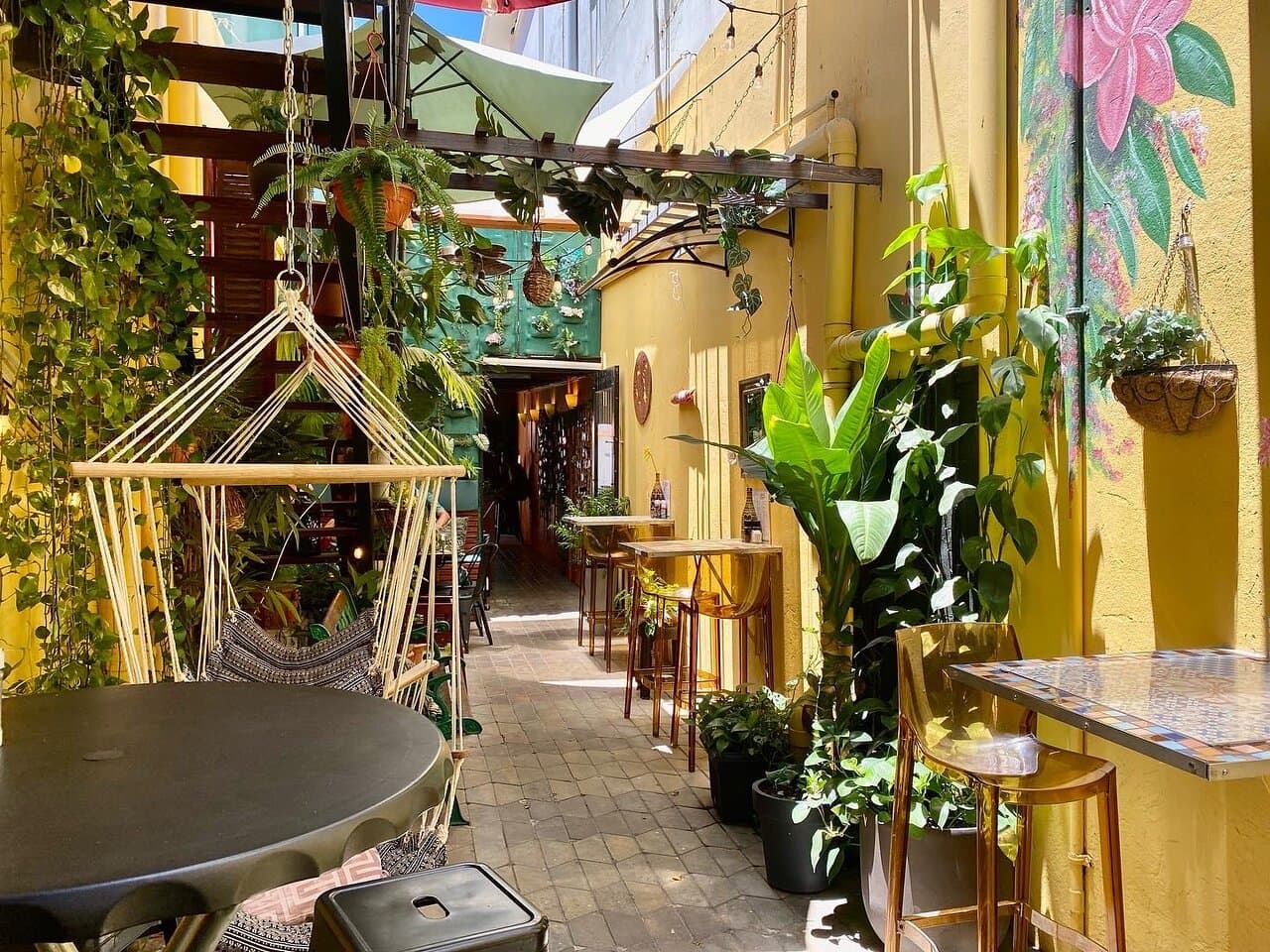 Dushi Delicious Aruba at TripAdvisor
