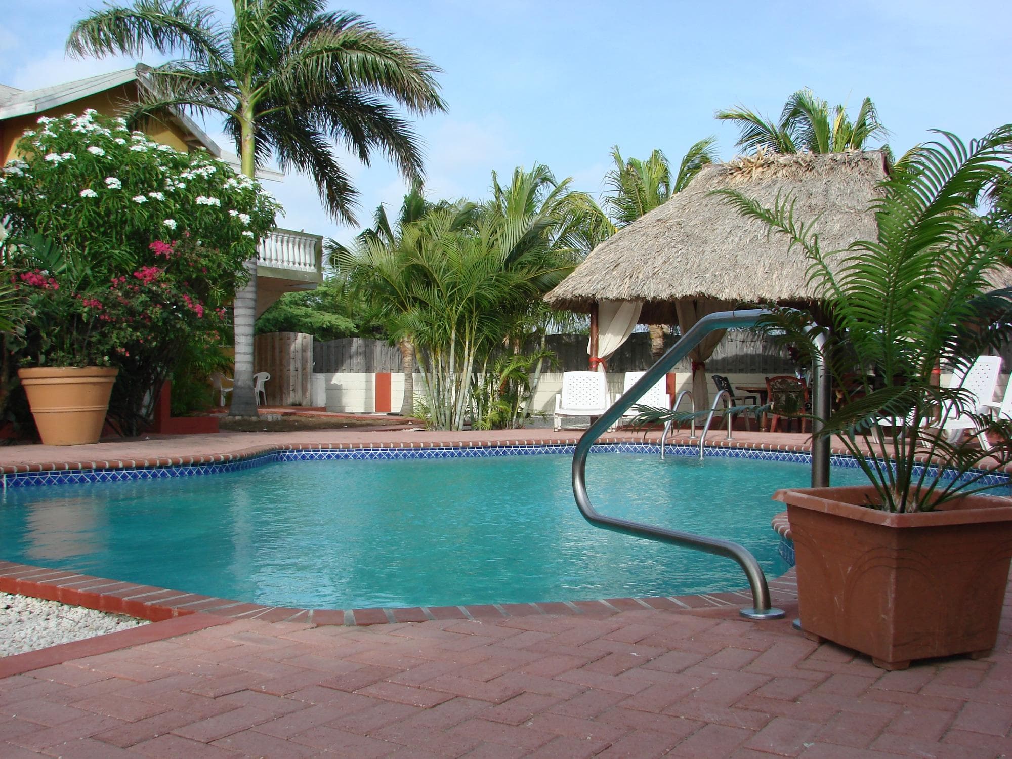 Sunny Pool