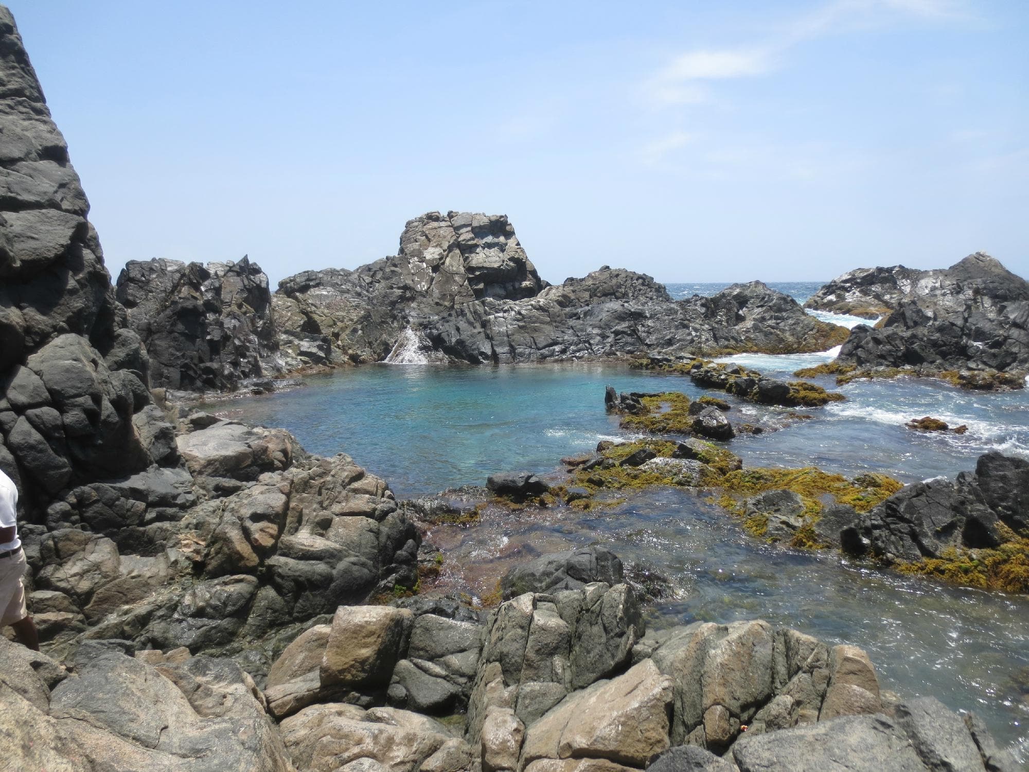 Conchi- natural ool