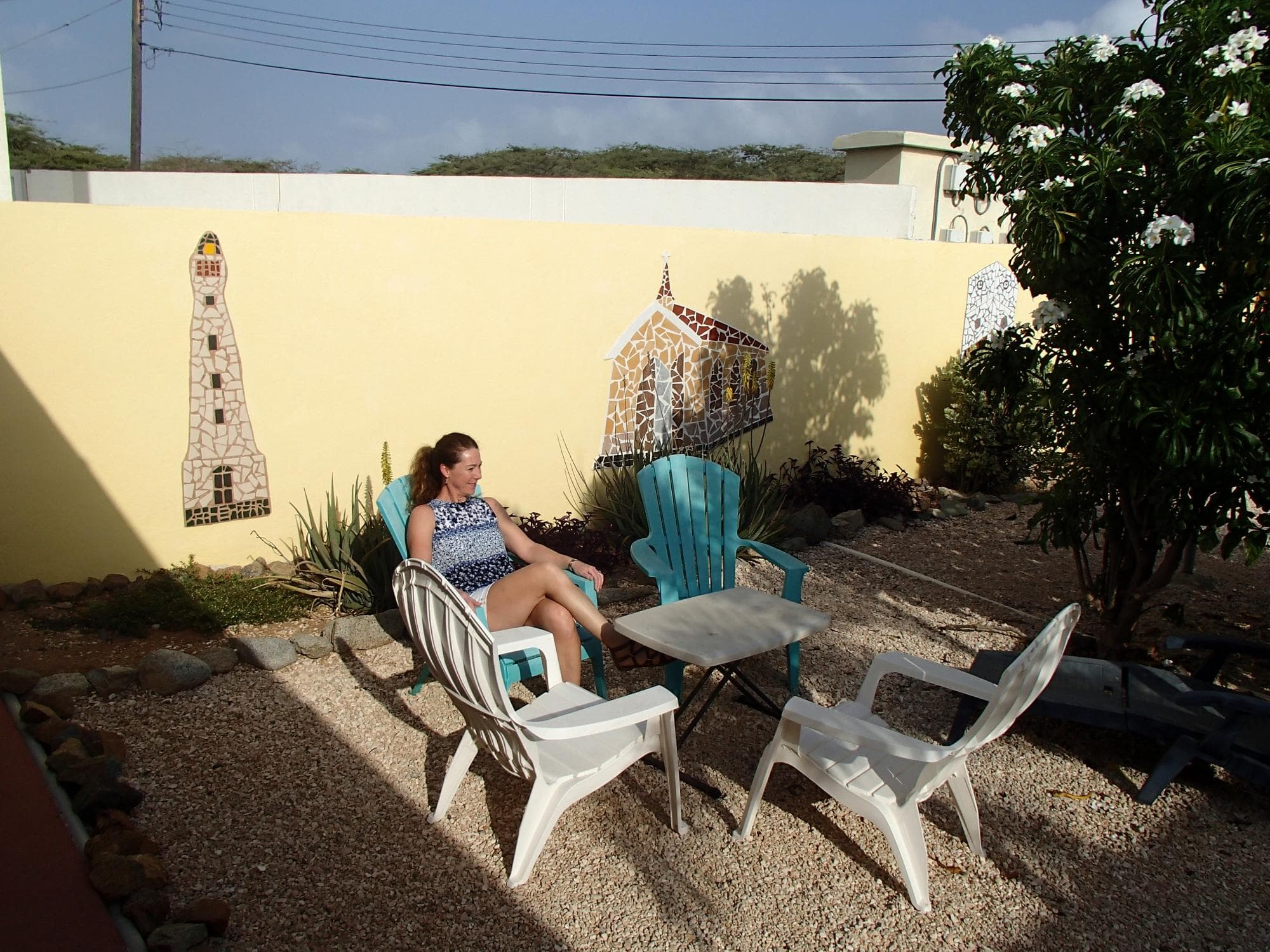 Sunny garden