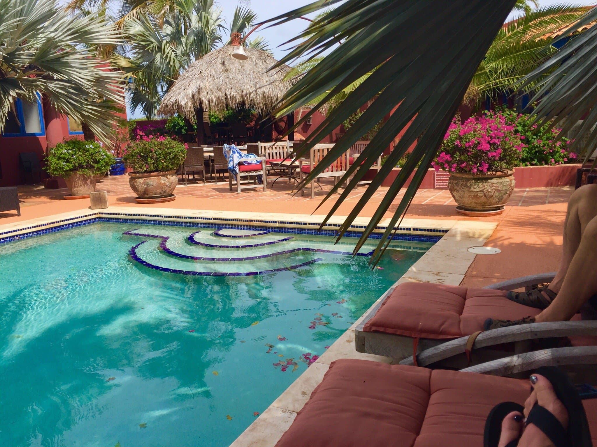 La Maison Aruba at TripAdvisor