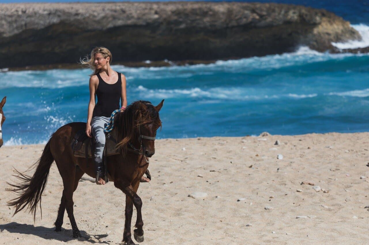 Discover Aruba's North Coast! You will enjoy nature and see amazing views while riding the best Paso Fino horses of the island!